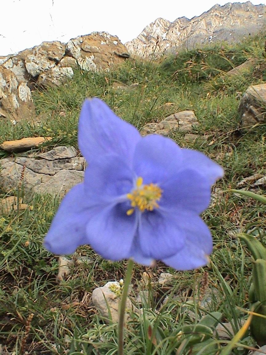 Pinarillos Sarvisé Buitenkant foto
